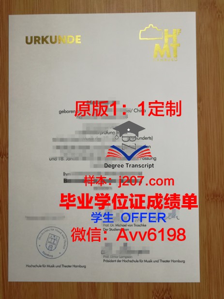 汉堡港口城市大学diploma证书(汉堡港口英文缩写)