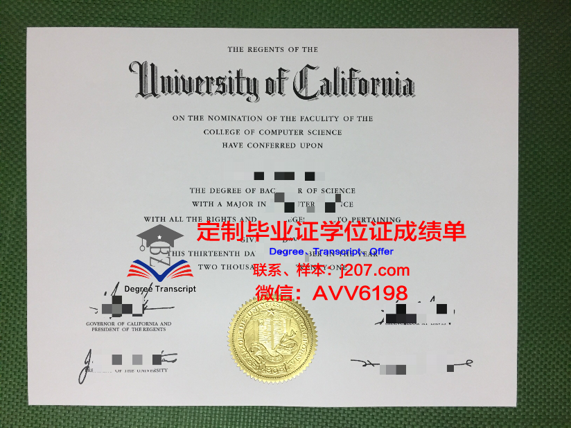 民办的大学毕业证(大学的民办学院毕业证)