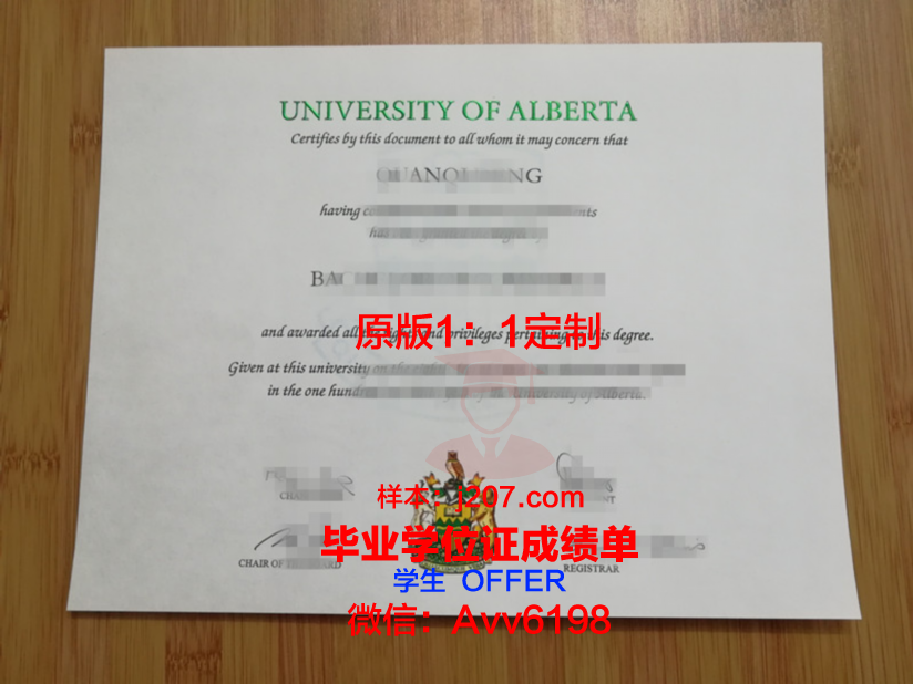 阿尔松别墅尼斯国立高等艺术学院毕业证书