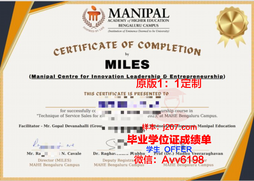 高等应用艺术学院学位证书(高等艺术学府)
