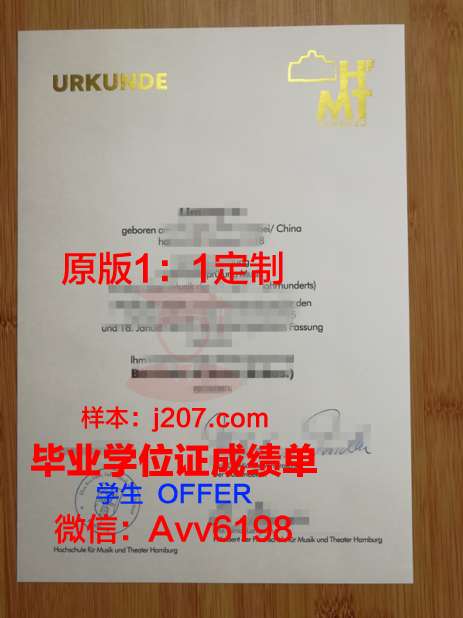 汉堡造型艺术学院毕业证原件(汉堡音乐戏剧学院官网)