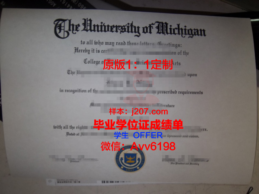阿列赫姆国立大学本科毕业证:一张通往未来的通行证