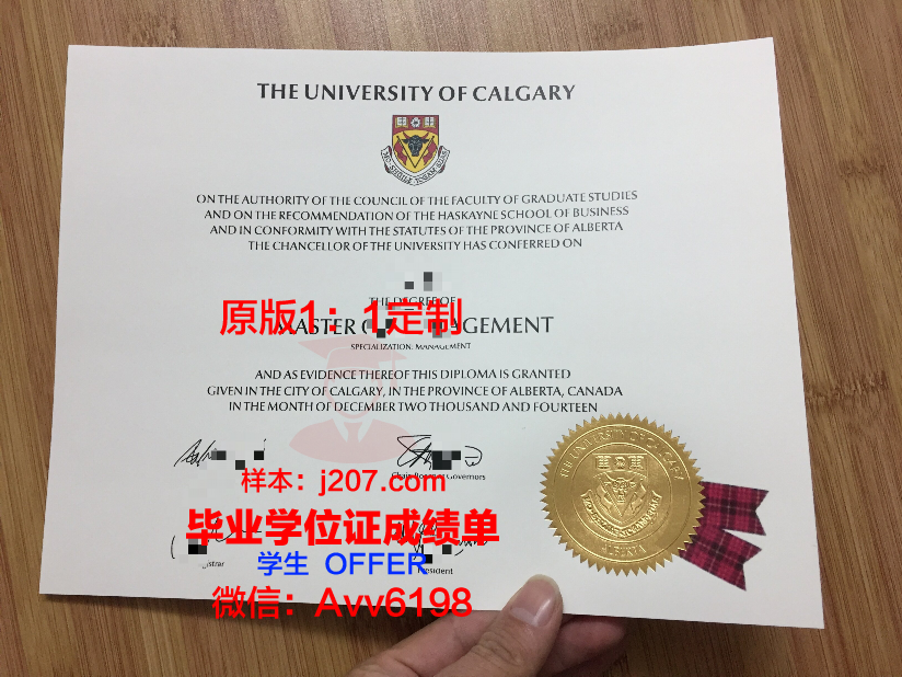 沙希德佐勒菲卡尔·阿里·布托科技学院学历证书