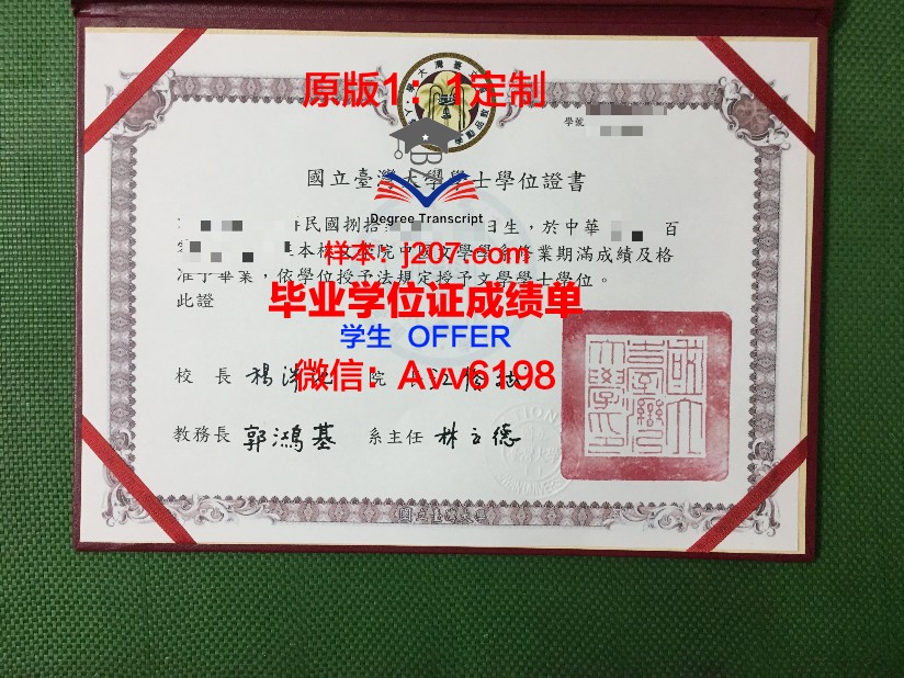 阿尔比-加莫国立高等矿业学院硕士毕业证书样本
