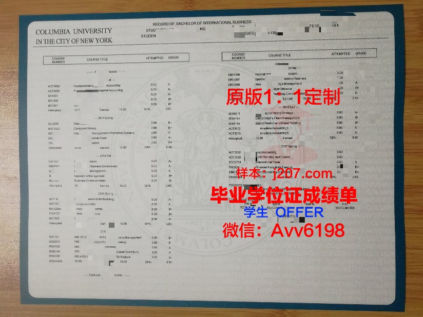 马萨里克大学学位成绩单定制:品质与诚信的双重保证