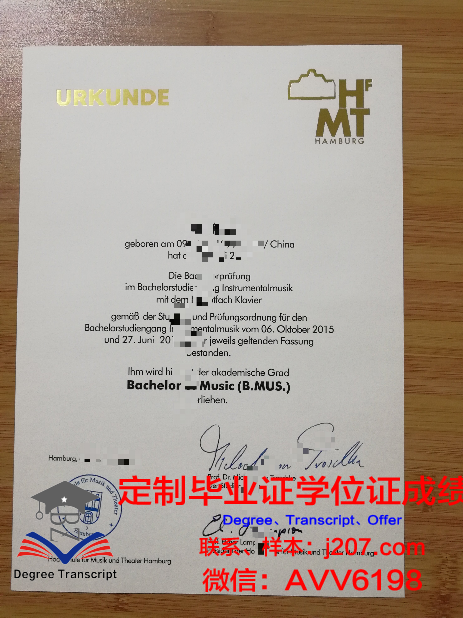 汉堡大学毕业证:一份跨越国界的荣誉证书