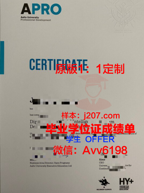 阿尔托大学毕业证书图片模板(阿尔托大学全额奖学金)