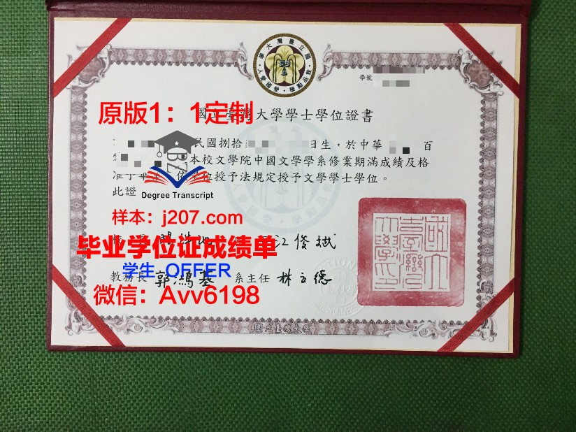 罗斯托夫国立经济大学毕业证书模板(罗斯托夫国立师范大学)