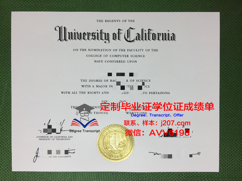 沃罗涅什国立林业技术大学毕业证成绩单:开启职业生涯的钥匙