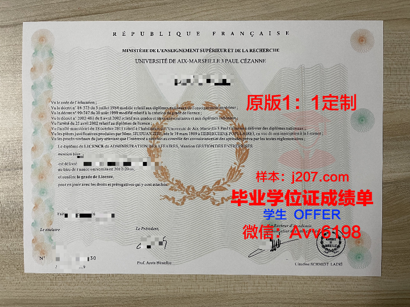 马赛第一大学毕业证图片