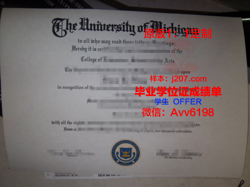美因茨大学本科毕业证(美国大学毕业证分等级吗)