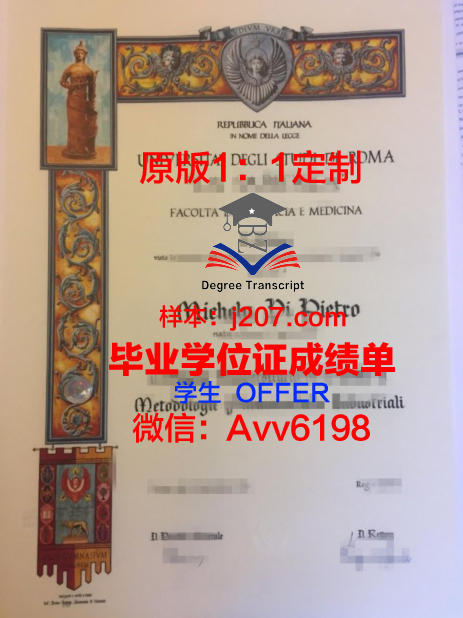 罗马第二大学成绩单:一份国际认可的学术证明