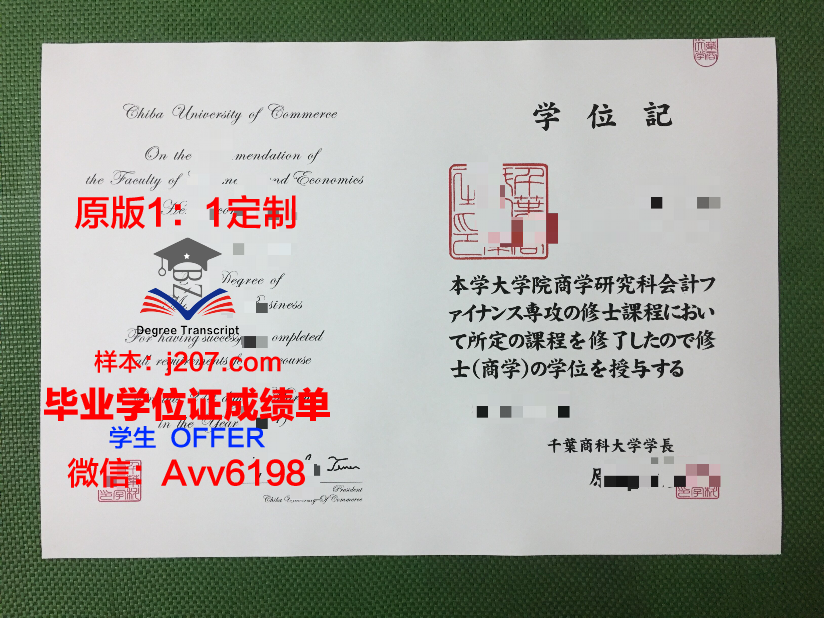 骏台电子情报与商科专门学校毕业证成绩单:一张纸背后的故事与价值