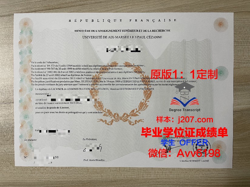 马赛中央理工学院拿不了毕业证(法国马赛中央理工大学世界排名)