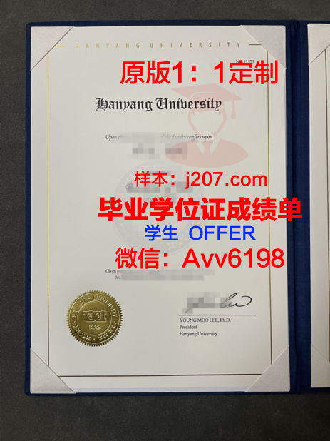 汉阳女子大学成绩单(汉口学院成绩)