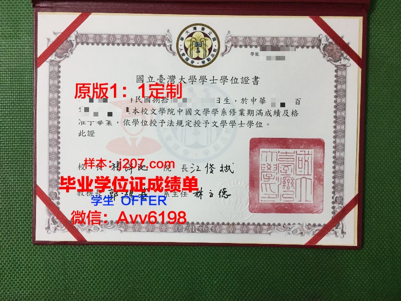沃罗涅日国立师范大学毕业证成绩单(沃罗涅日国立大学学费)