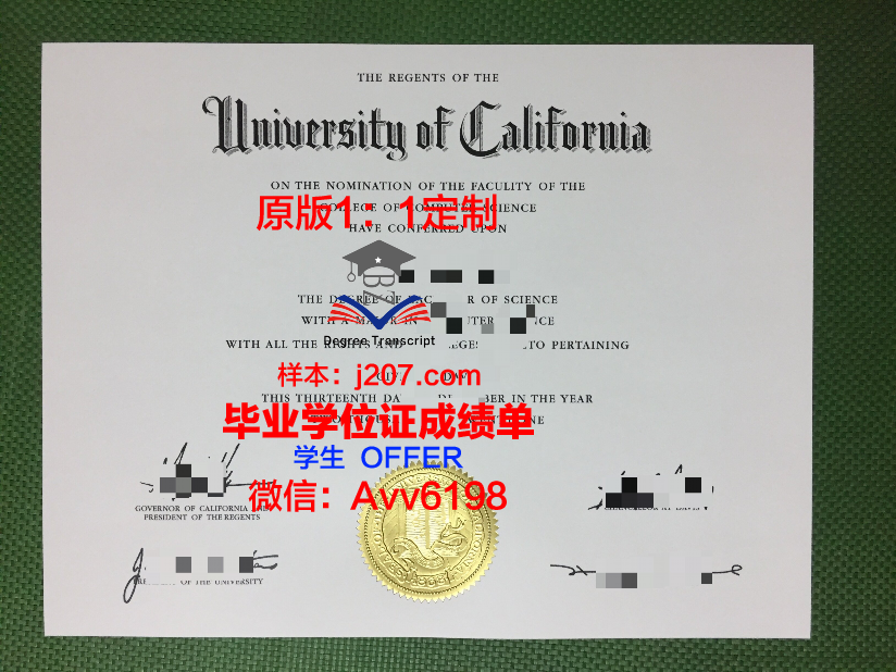 美因茨大学本科毕业证(美国大学毕业证分等级吗)