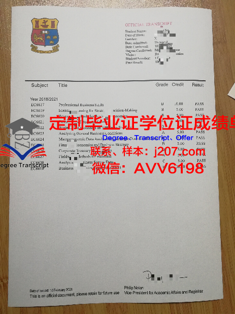 罗斯托夫国立大学毕业证书(罗斯托夫国立建筑与艺术学院)