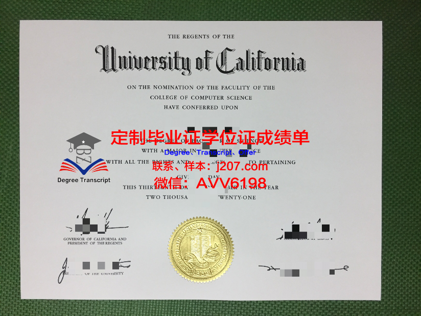 沙大学博士毕业证:一份荣耀的见证