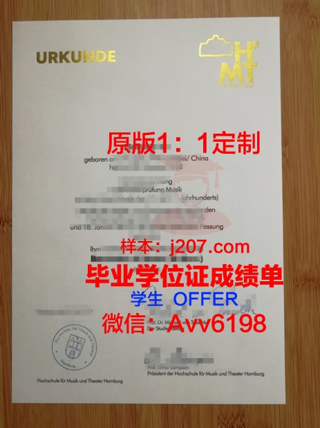 汉堡造型艺术学院毕业证原件(汉堡音乐戏剧学院官网)