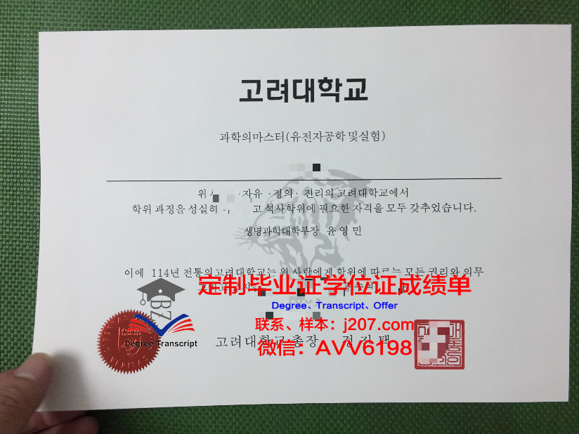 高丽大学证书成绩单(高丽大学证书成绩单怎么打印)