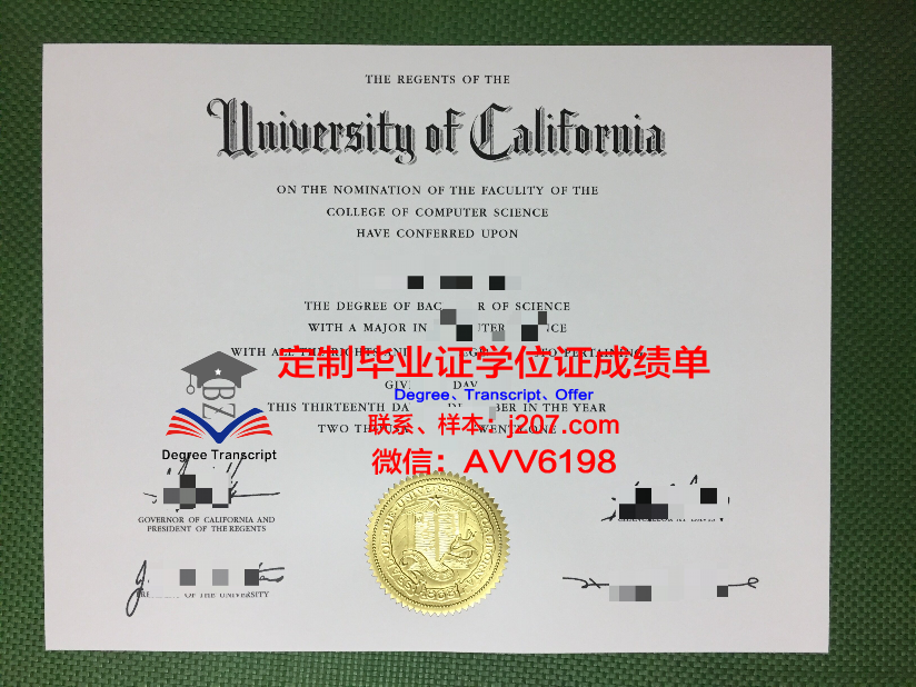美因茨大学本科毕业证:开启国际化教育新篇章
