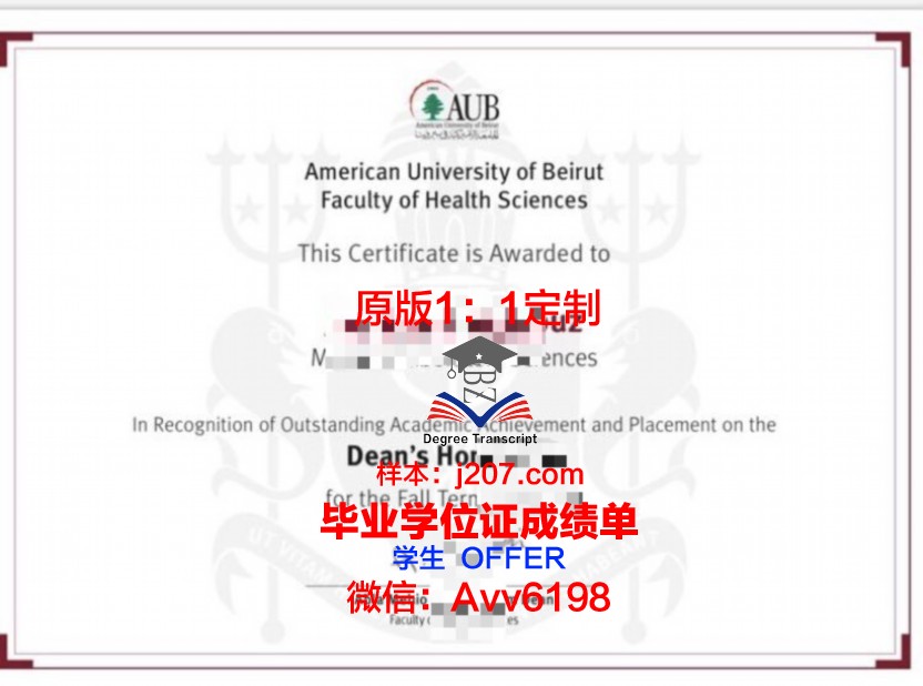 美因茨大学毕业证书原件(美国大学毕业证书尺寸)