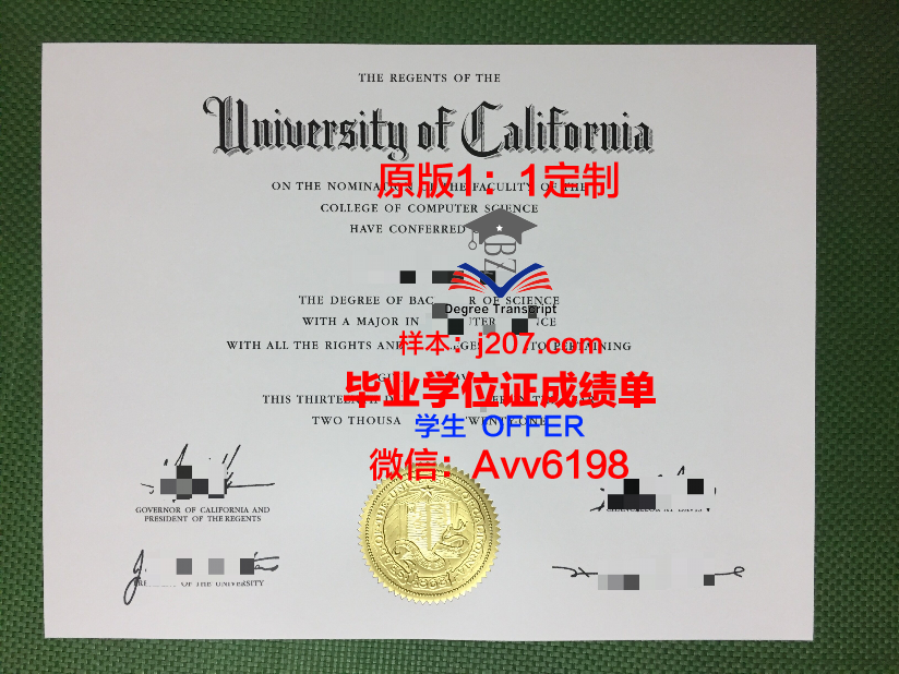 沃罗涅日国立大学毕业证学位文凭学历Diploma