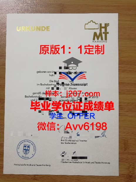 汉堡造型艺术学院毕业证案例(汉堡大学艺术学院)