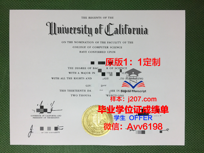 罗萨里奥国立大学毕业证补办(利兹大学毕业证寄丢了)