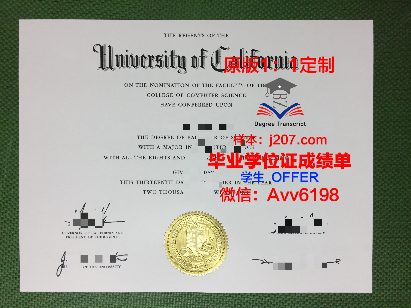 罗斯托夫国立师范大学毕业证成绩单:一份承载荣誉与回忆的证书