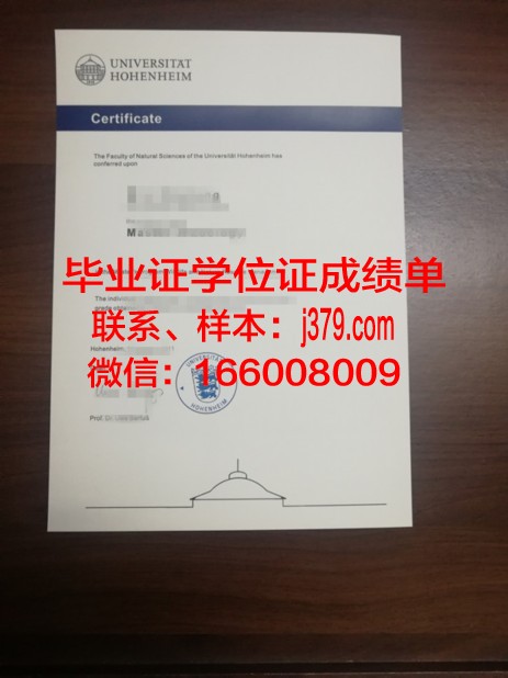 盖森海姆应用技术大学毕业证外壳
