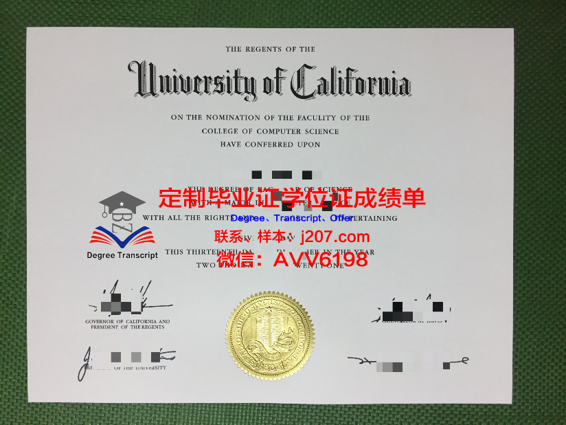 美因茨大学毕业证案例(美因茨大学英语授课硕士)