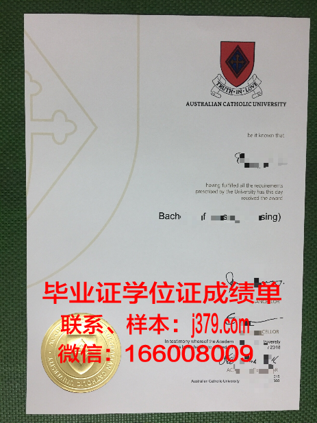 巴拉那天主教大学毕业证壳子(天主教大学证书)