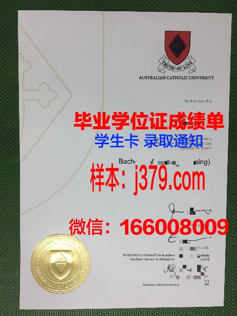 巴拉那天主教大学毕业证书原件