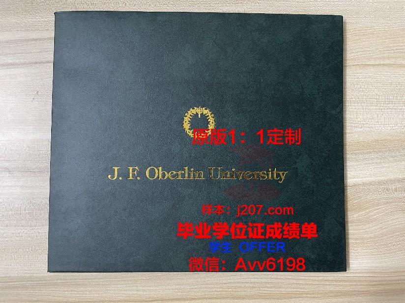美因茨应用技术大学毕业证书(美因茨应用科技大学)