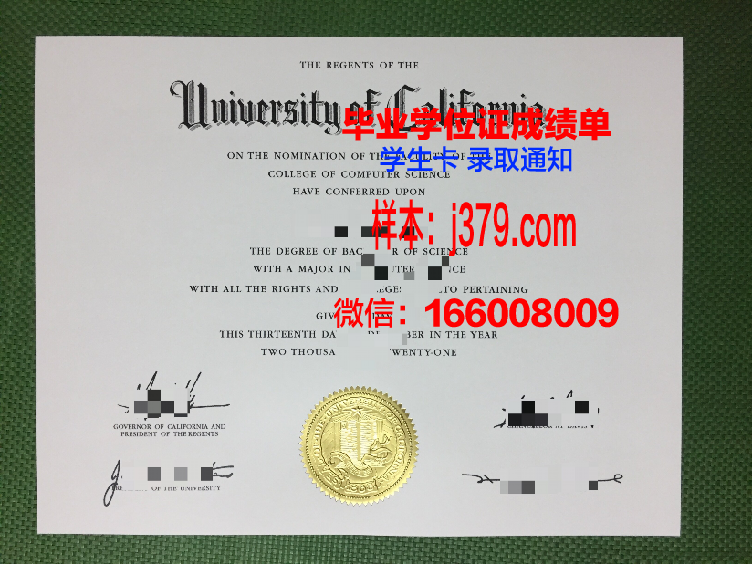 种智院大学毕业证Diploma文凭成绩单