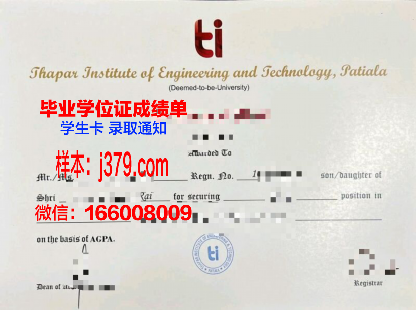 沃罗涅日高等技术学院毕业证:一张纸背后的价值与荣耀
