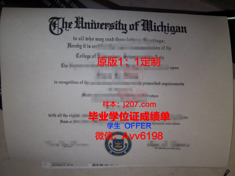 网上大学毕业证被贴了别人的照片:一场身份的错位