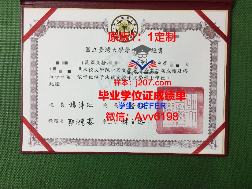 沃罗涅日国立师范大学毕业证高清图(沃罗涅日国立艺术学院)