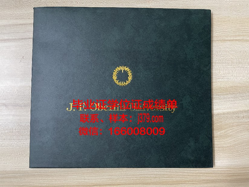 巴黎东部马恩-拉瓦雷大学工程师学院毕业证图片(马恩拉瓦雷大学排名)