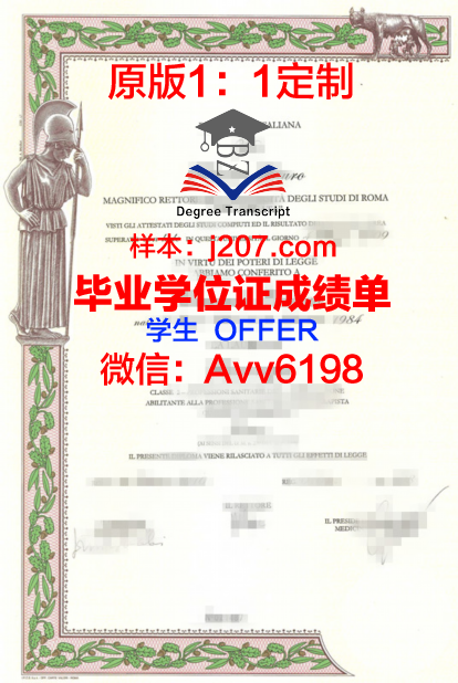 罗马国际社会科学自由大学学生卡