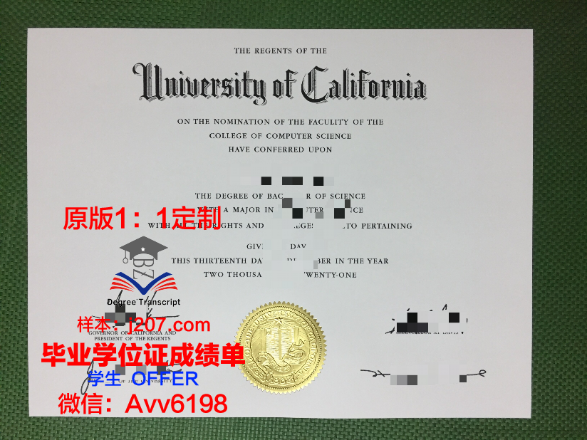 汉恩大学毕业证图片Han university Diploma