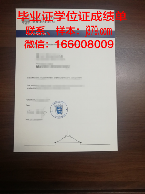 盖森海姆应用技术大学学位证:德国教育质量的见证