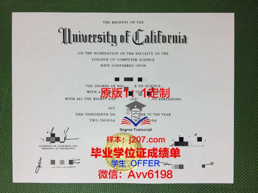汉语言文学本科毕业证:一张承载梦想与汗水的照片