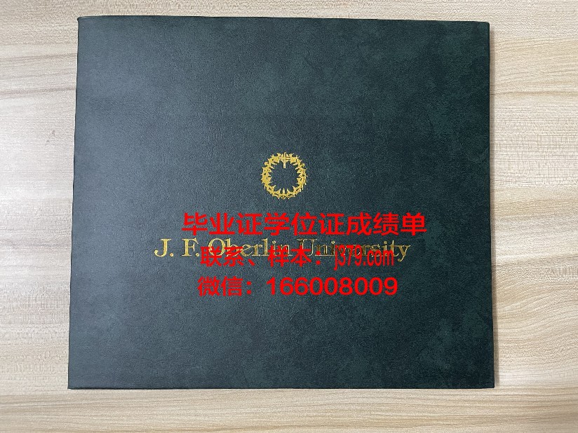 巴黎东部马恩-拉瓦雷大学工程师学院的毕业证都能做(马恩拉瓦雷大学排名)