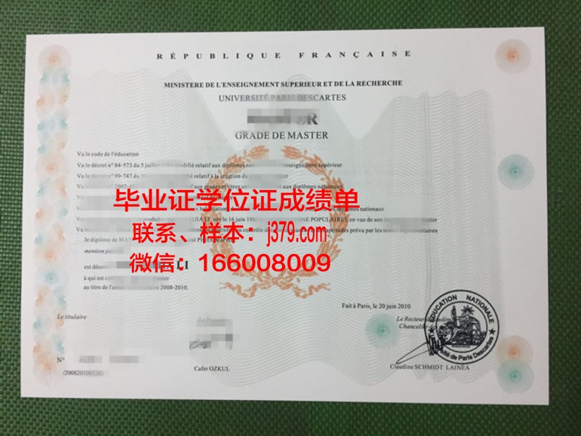 巴黎XI成绩单:探寻法国电影的独特魅力