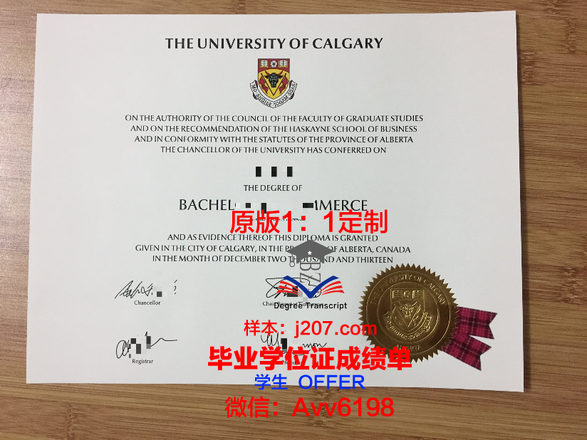 沙希德佐勒菲卡尔·阿里·布托科技学院毕业证防伪