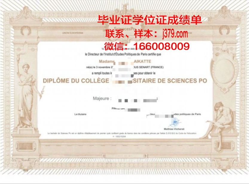 巴黎政治学院毕业证:一张通往世界舞台的通行证