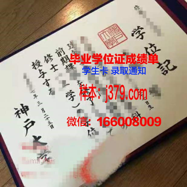 神户松荫女子学院大学毕业证认证成绩单Diploma